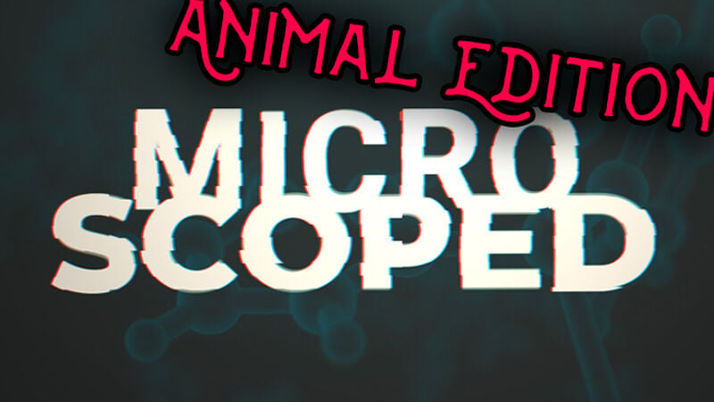 Micro Scoped